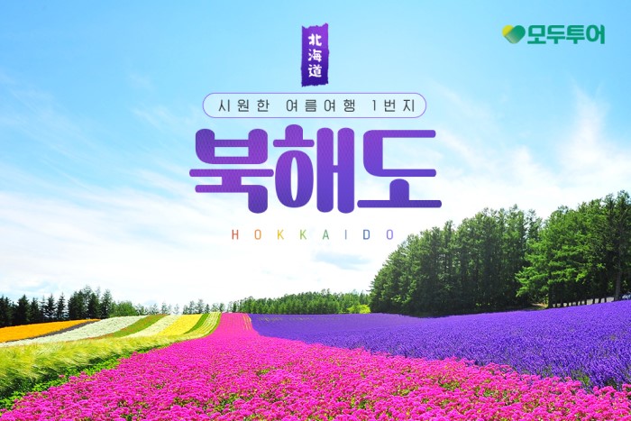 에디터 사진